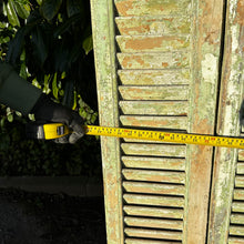 Load image into Gallery viewer, Tall Antique French Louvre Shutters — Original Green Chippy Paint | 174cm