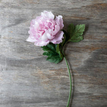 Load image into Gallery viewer, Abigail Ahern Peony Pink
