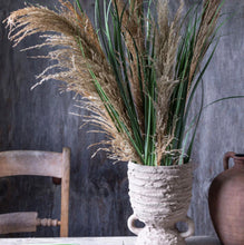 Load image into Gallery viewer, Abigail Ahern Wild Pampas Grass stem