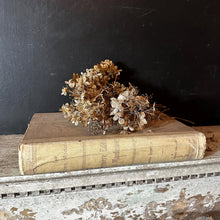 Load image into Gallery viewer, Antique Spanish Faux Book Box, Francisco Romero Valencia Advertising Storage (c.1910)