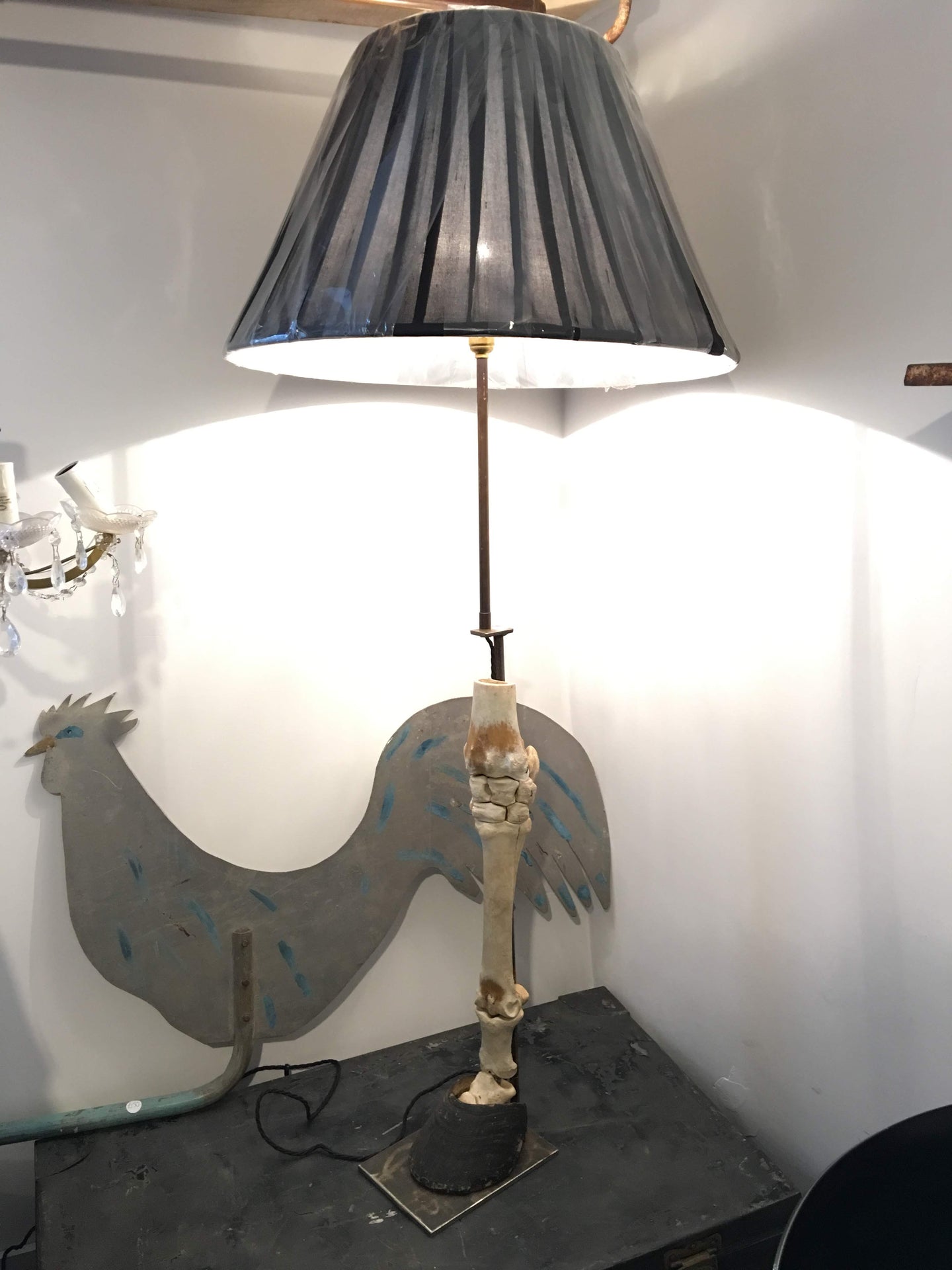 Horses Skeleton Leg with Hoof Upcycled Lamp Taxidermy French Vintage