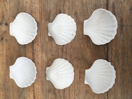 Pretty Pair of Porcelain Scallop Shell Dishes