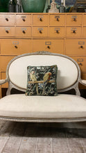 Load image into Gallery viewer, Velvet Cushion Parakeets