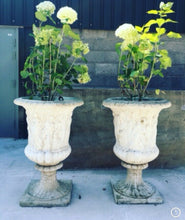 Load image into Gallery viewer, Impressive Pair Of Grecian Style Garden Urns Planters - 126cm High
