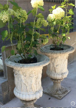 Load image into Gallery viewer, Impressive Pair Of Grecian Style Garden Urns Planters - 126cm High