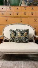 Load image into Gallery viewer, Velvet Cushion Parakeets