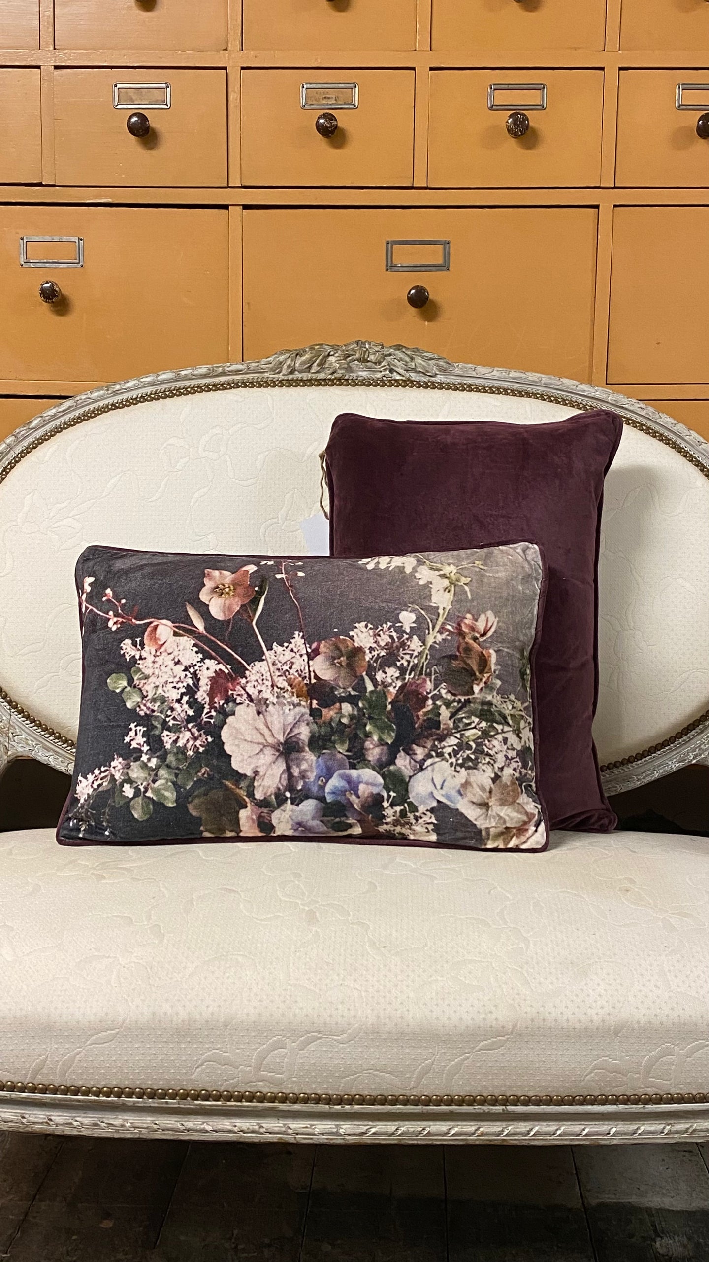 Velvet Cushion Hellebore