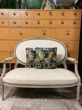 Load image into Gallery viewer, Velvet Cushion Parakeets