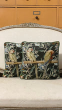 Load image into Gallery viewer, Velvet Cushion Parakeets
