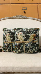Velvet Cushion Parakeets