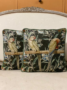 Velvet Cushion Parakeets