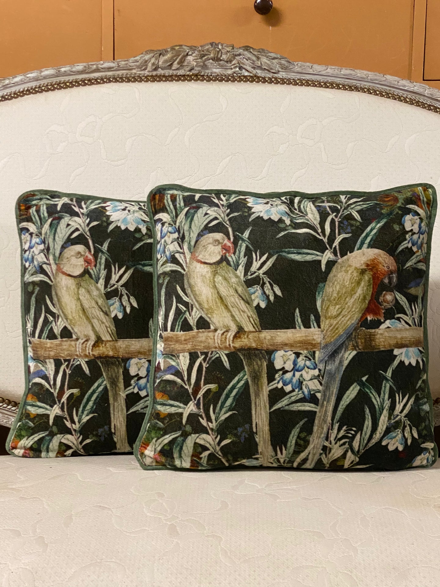 Velvet Cushion Parakeets