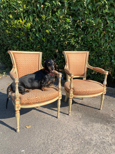 Original Paint French Antique Napoleon Elbow Chairs PAIR - French General Trading